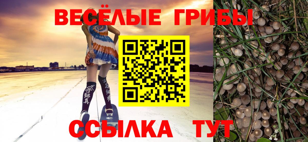 Псилоцибиновые грибы Psilocybe  Псилоцибиновые грибы мухоморы  Вход с VPN  Северск 
